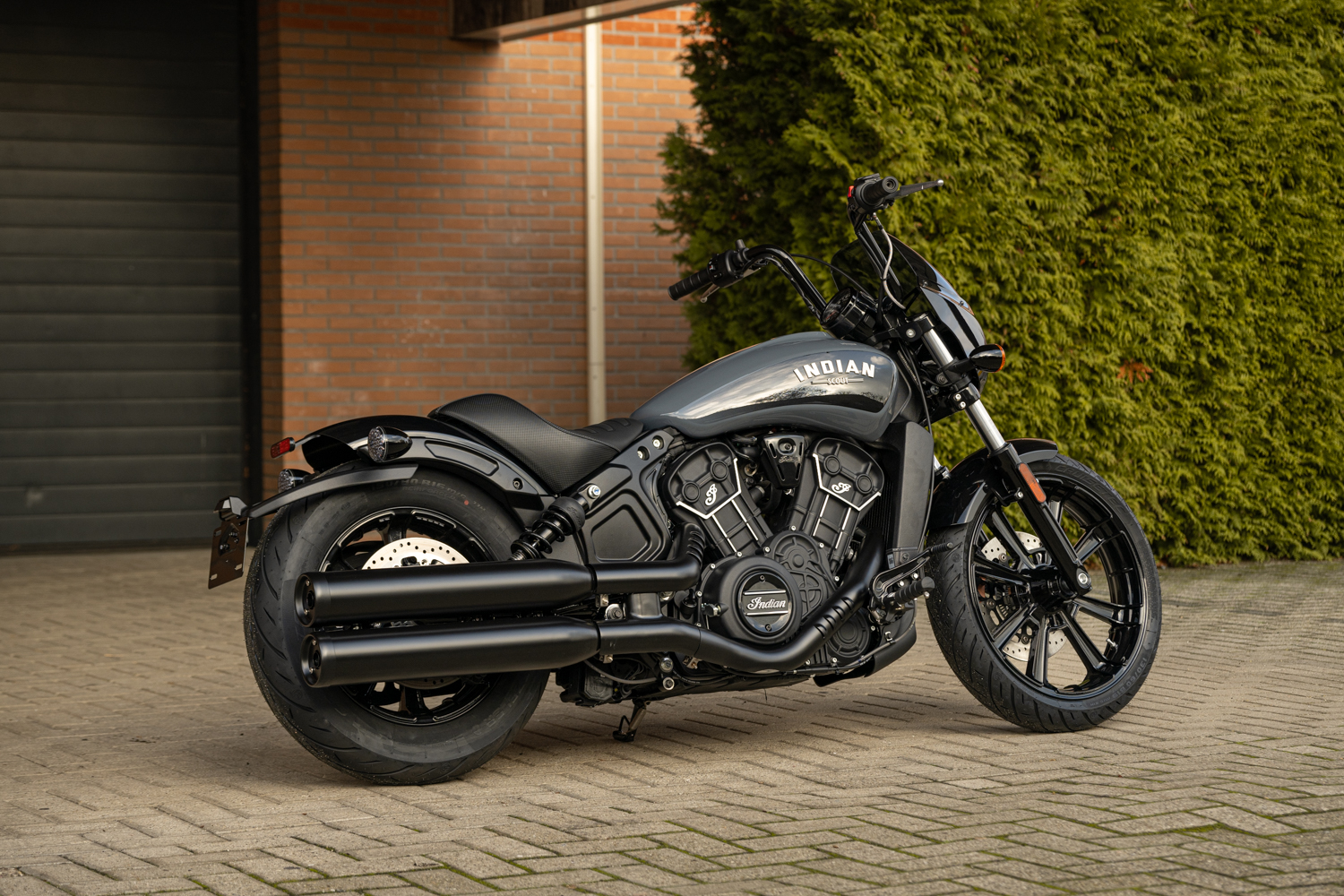 Indian Scout Rogue Stealth Gray BikeBarn